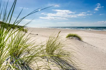 Obraz Mrzeżyno, plaża