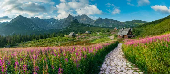 Obraz górski krajobraz, panorama Tatr, Polska kolorowe kwiaty i domki w dolinie Gąsienicowej (Hala Gąsienicowa), lato