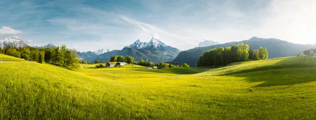 Obraz Idylliczny górski krajobraz w Alpach z kwitnącymi łąkami na wiosnę