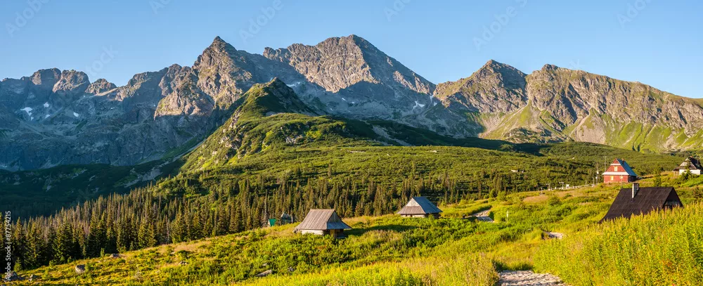 Obraz Hala Gąsienicowa - Tatry