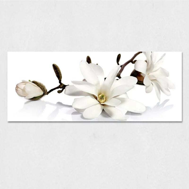 Obraz na szkle - białe kwiaty - obrazek 1