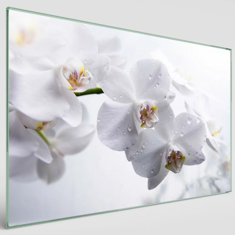 Obraz szklany - zroszone orchidee - obrazek 1