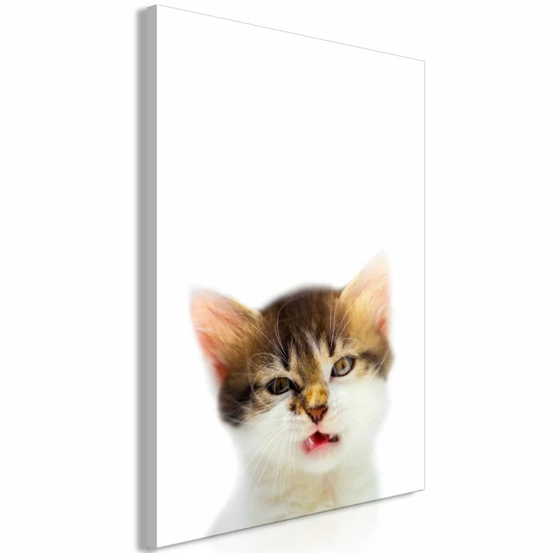 Obraz - Zirytowany kot (1-częściowy) pionowy - obrazek 1