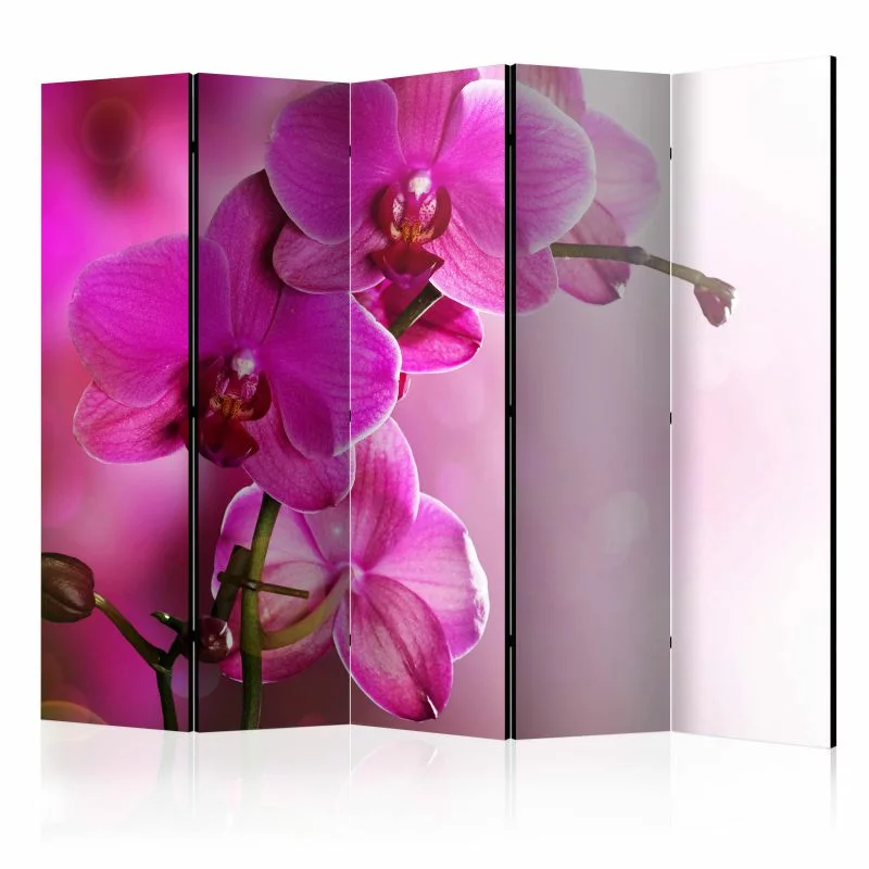 Parawan 5-częściowy - Różowa orchidea II - obrazek 1