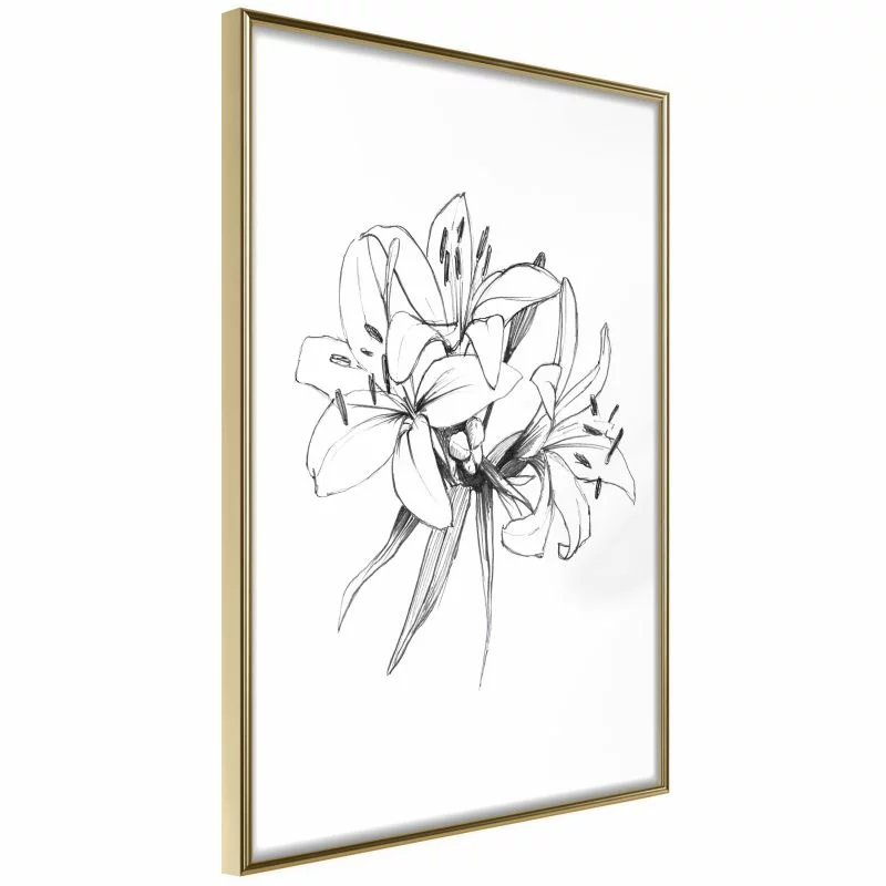 Plakat - Szkic lilii - obrazek 1