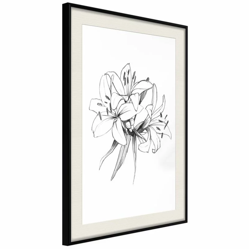Plakat - Szkic lilii - obrazek 1