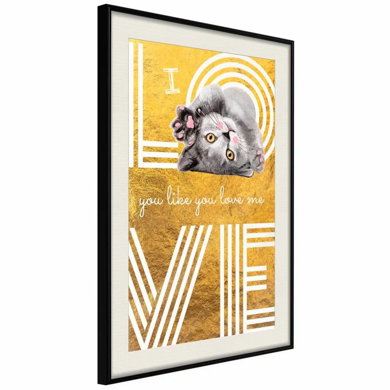 Plakat - Kocia miłość - obrazek 1