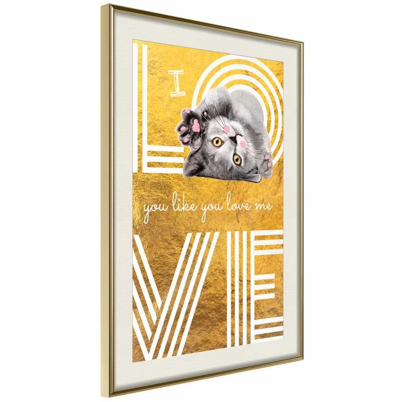 Plakat - Kocia miłość - obrazek 1