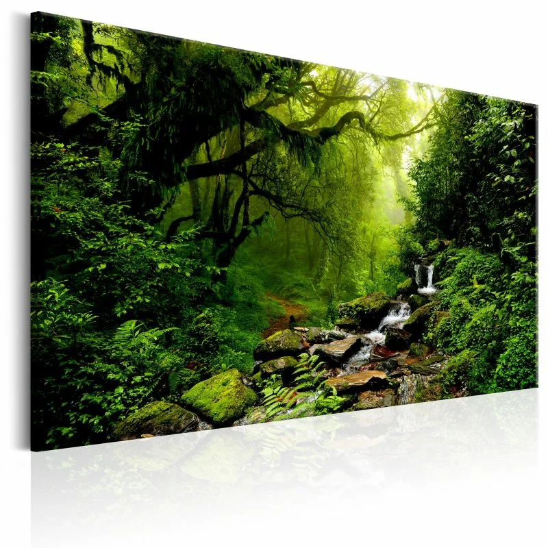 Obraz - Wodospad w lesie - obrazek 1