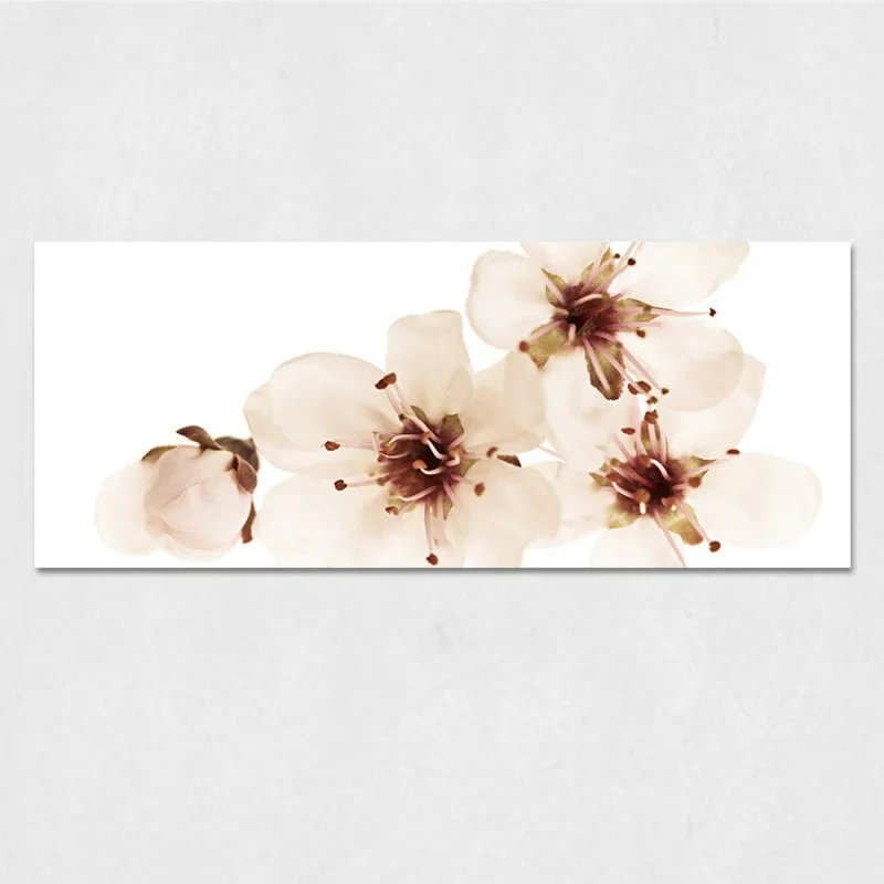 Obraz na szkle - białe kwiatki - obrazek 1
