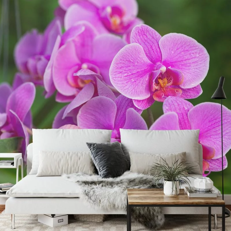 Fototapeta Kwiaty Orchidei 3D - obrazek 1