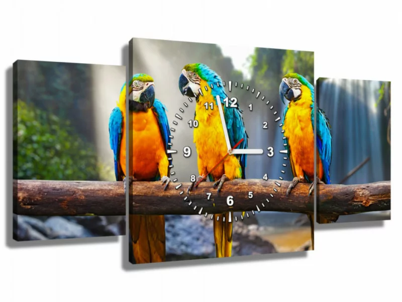 Obraz z zegarem - kolorowe papugi - obrazek 1