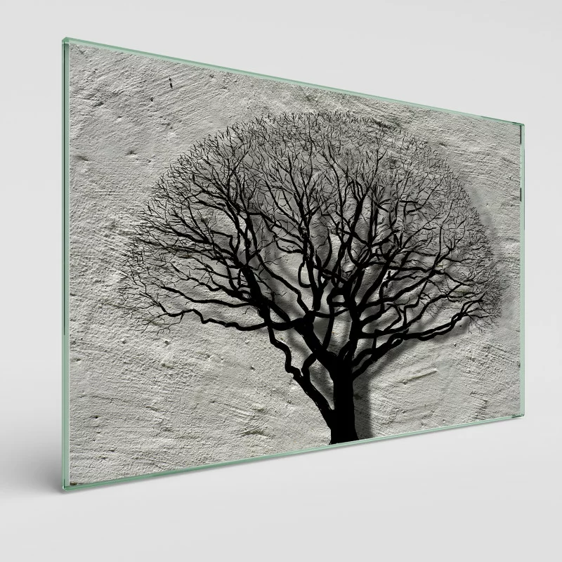 Obraz szklany cień drzewa - obrazek 1