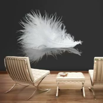 Fototapeta wodoodporna - White feather