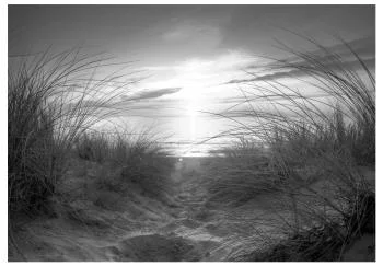 Fototapeta wodoodporna - plaża (czarno-biały) - obrazek 2