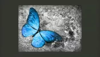 Fototapeta do Sypialni - Niebieski Motyl - obrazek 2