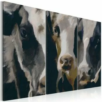 Obraz - Piebald cow