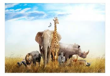Fototapeta - Fauna Afryki - obrazek 2