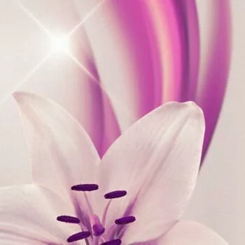 Tapeta piękne lilie - obrazek 4