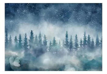 Fototapeta wodoodporna - Nocny krajpejzaż zamglonego lasu nocą z gwiaździstym niebem - obrazek 2