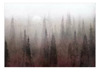 Fototapeta wodoodporna - Przelot ptaków nad koroną drzew - krajobraz ciemnego lasu we mgle - obrazek 2