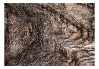 Fototapeta wodoodporna - Znaki czasu - abstrakcyjne tło z pomarszczoną korą starego drzewa - obrazek 2