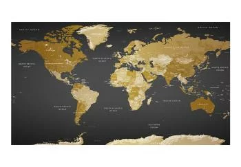 Fototapeta wodoodporna - Mapa świata: Nowoczesna geografia II - obrazek 2