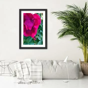 Obraz w ramie, Różowy duży kwiat