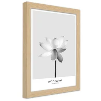 Obraz w ramie, Biały kwiat lotosu - obrazek 2
