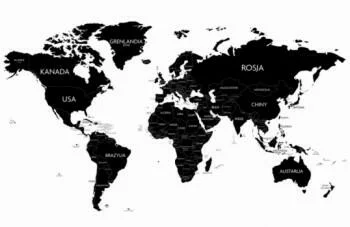 Fototapeta na wymiar mapa świata czarno-biała - obrazek 2