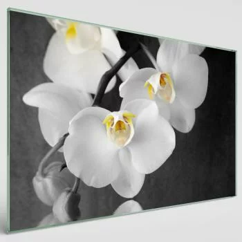 Obraz szklany do łazienki - białe orchidee