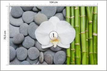 Fototapeta Bambusy Z Kamieniami I Orchideą - obrazek 3