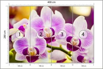 Fototapeta Tropikalna Orchidea - obrazek 3