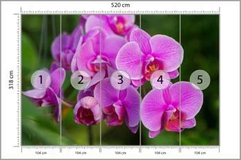 Fototapeta Kwiaty Orchidei 3D - obrazek 3